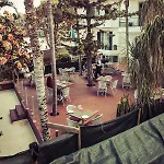 Pensjonat The Flame Tree Madeira (adults Only) 2*