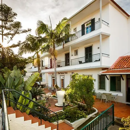 The Flame Tree Madeira (adults Only) Pensjonat 2*