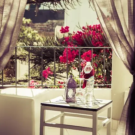The Flame Tree Madeira (adults Only) Guest house