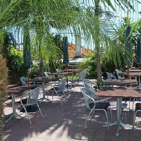 The Flame Tree Madeira (adults Only) Guest house Funchal (Madeira)
