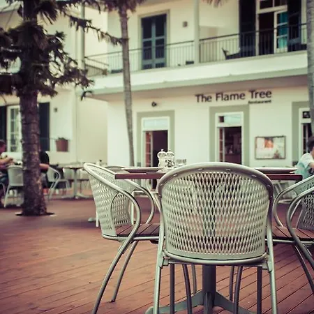 Casa de hóspedes The Flame Tree Madeira (adults Only) Funchal (Madeira)