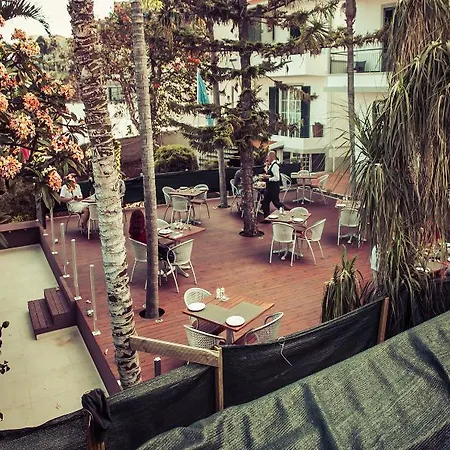 게스트하우스 The Flame Tree Madeira (adults Only) 3*