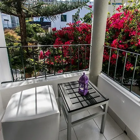 The Flame Tree Madeira (adults Only) 게스트하우스 푼샬