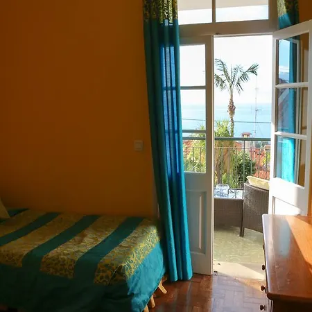 게스트하우스 The Flame Tree Madeira (adults Only) 푼샬