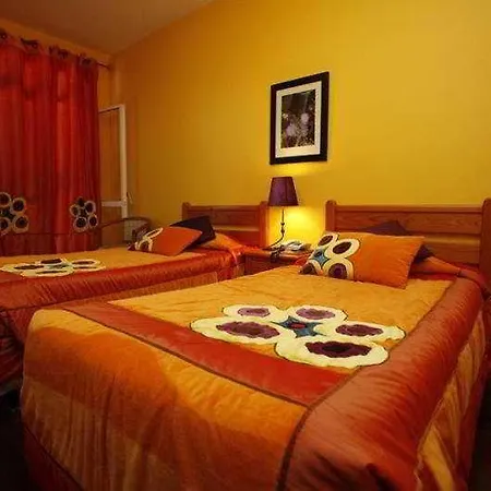 게스트하우스 The Flame Tree Madeira (adults Only) 푼샬