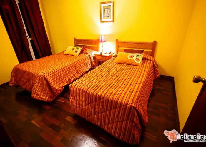 The Flame Tree Madeira (adults Only) فونشال