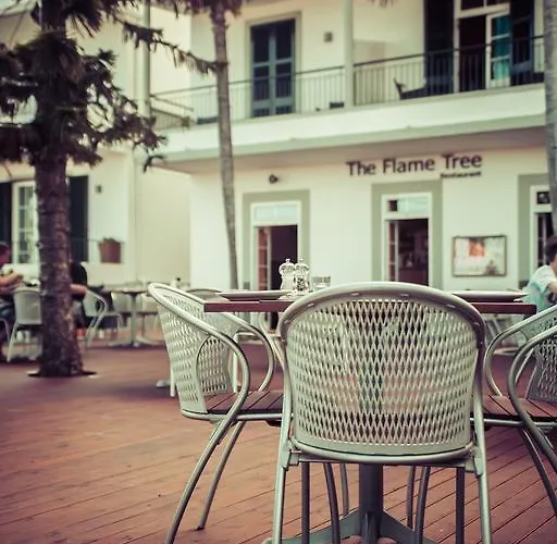 بيت ضيافة The Flame Tree Madeira (adults Only) فونشال