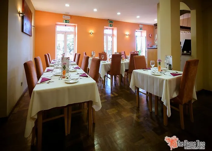 The Flame Tree Madeira (adults Only) بيت ضيافة فونشال