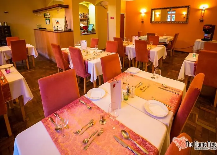 بيت ضيافة The Flame Tree Madeira (adults Only)