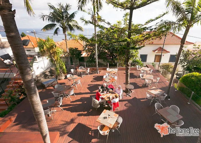 The Flame Tree Madeira (adults Only) 2*
