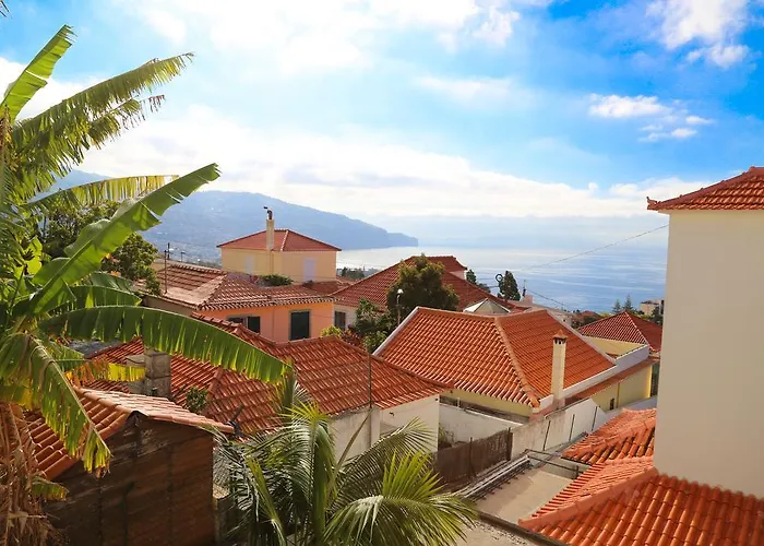 بيت ضيافة The Flame Tree Madeira (adults Only) فونشال