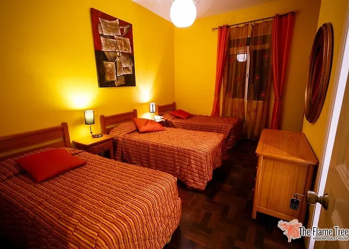 بيت ضيافة The Flame Tree Madeira (adults Only)