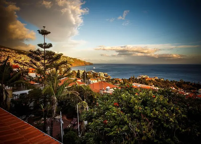 The Flame Tree Madeira (adults Only) بيت ضيافة