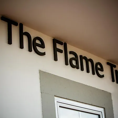 The Flame Tree Madeira (adults Only) 2* Фуншал