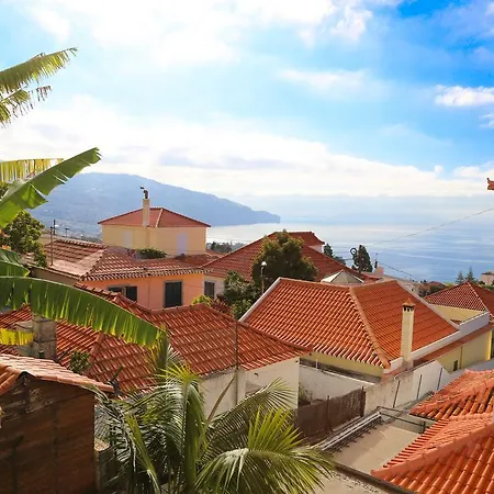 Maison d'hôtes The Flame Tree Madeira (adults Only) Funchal (Madeira)