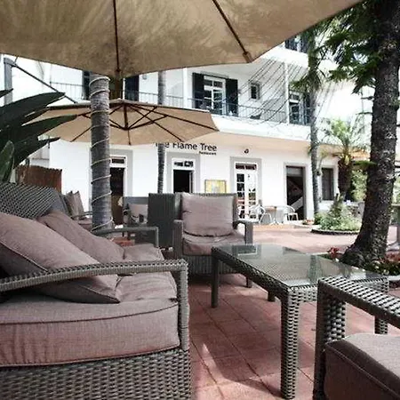 Гостевой дом The Flame Tree Madeira (adults Only)