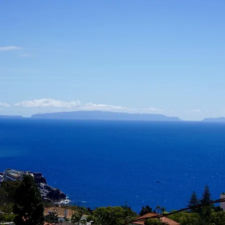 Гостевой дом The Flame Tree Madeira (adults Only)
