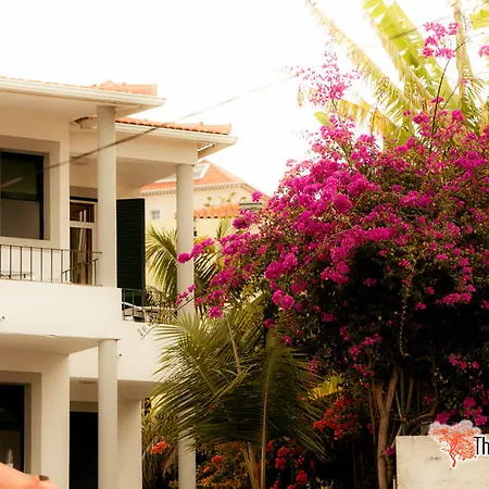 The Flame Tree Madeira (adults Only) 2* Фуншал