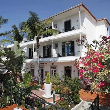 The Flame Tree Madeira (adults Only) 2* Фуншал