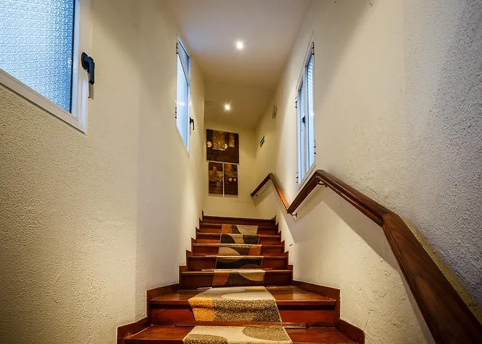 The Flame Tree Madeira (adults Only)