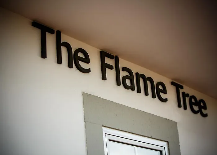 The Flame Tree Madeira (adults Only) 2* Funchal (Madeira)