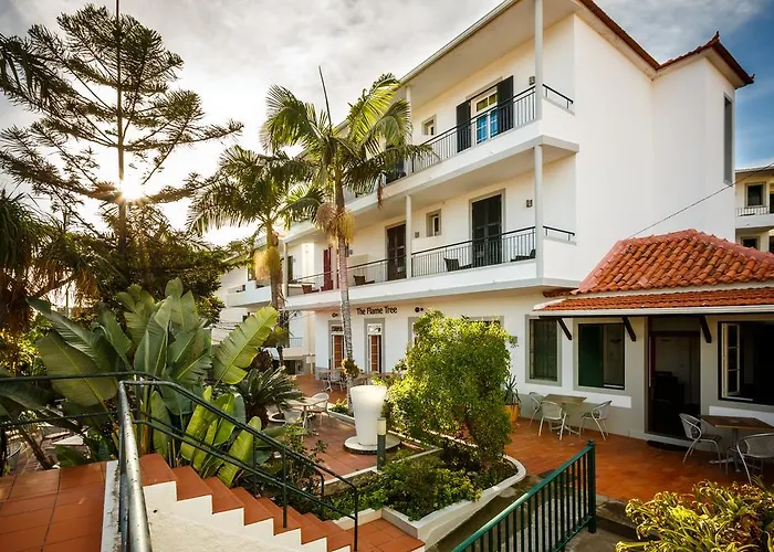 The Flame Tree Madeira (adults Only) Pensionat 2*