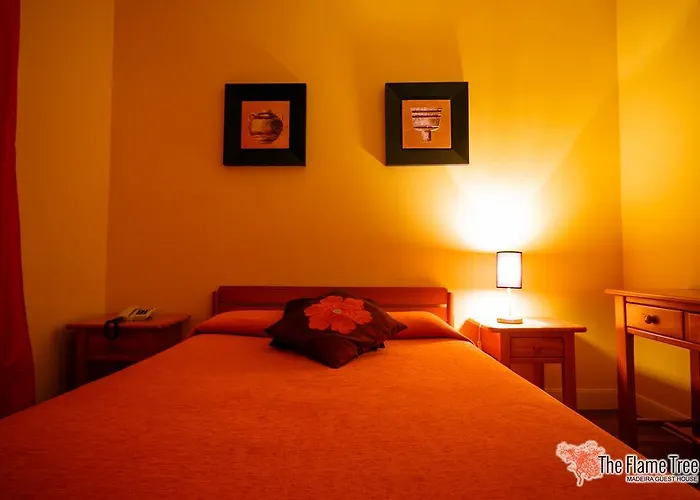 Pensionat The Flame Tree Madeira (adults Only) 2*