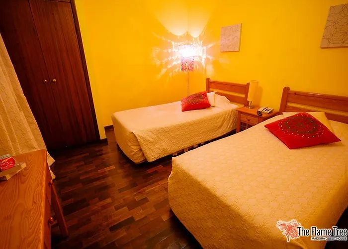 Pensionat The Flame Tree Madeira (adults Only)