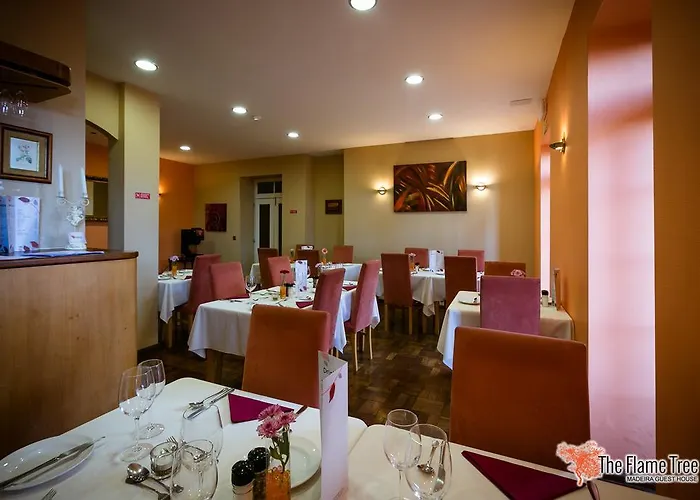 Pensionat The Flame Tree Madeira (adults Only) Funchal (Madeira)