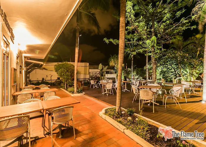 The Flame Tree Madeira (adults Only) Pensionat 2*