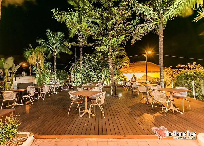 The Flame Tree Madeira (adults Only) Pensionat 2*