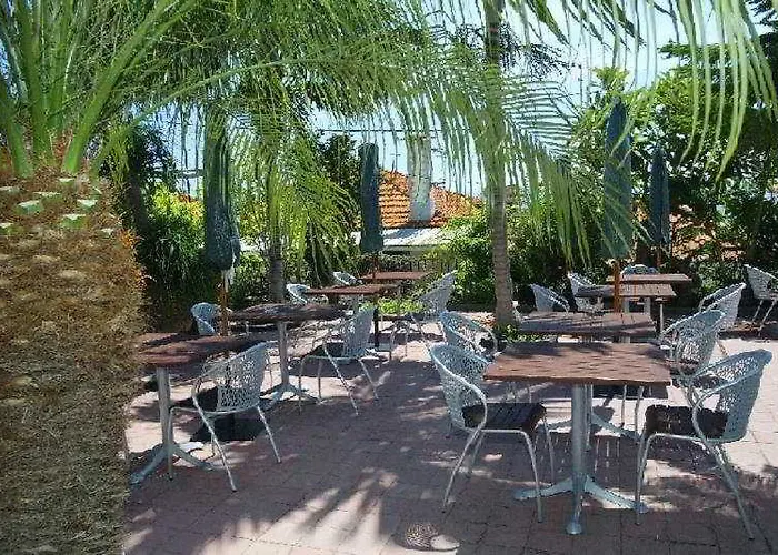 The Flame Tree Madeira (adults Only) 招待所 丰沙尔