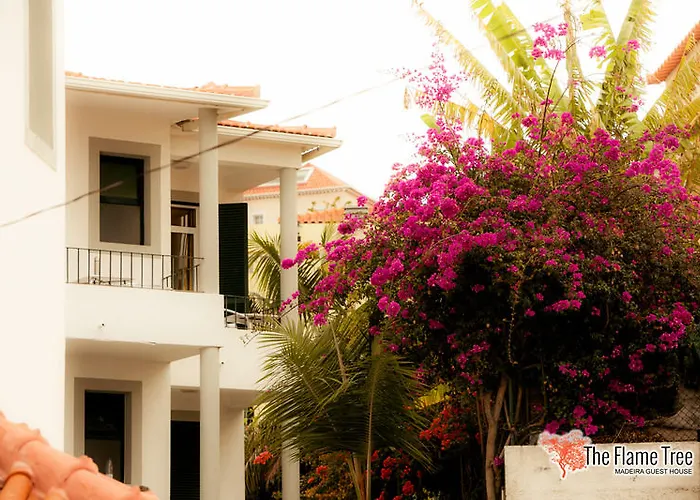 The Flame Tree Madeira (adults Only) 2* 丰沙尔