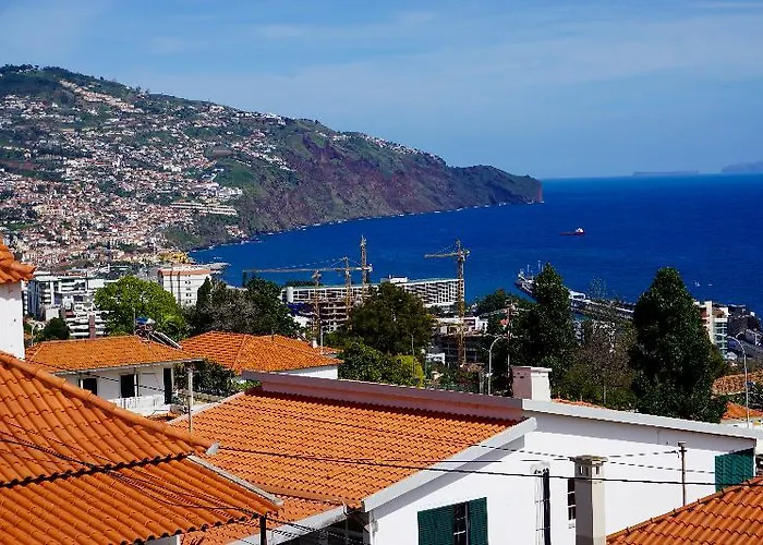 招待所 The Flame Tree Madeira (adults Only)