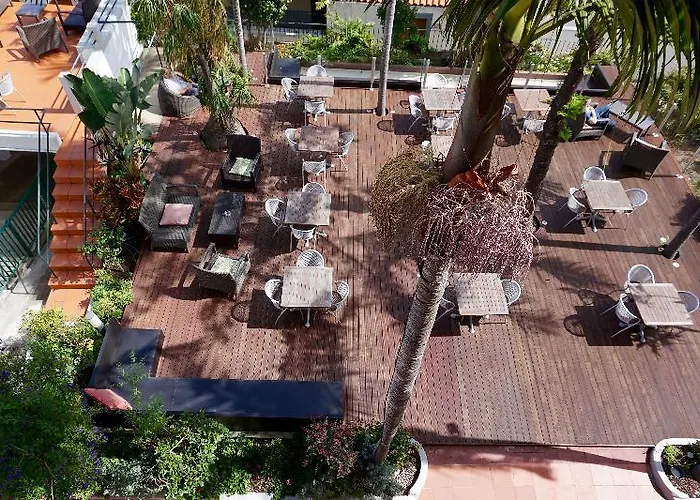 The Flame Tree Madeira (adults Only) Funchal (Madeira)