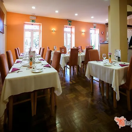 The Flame Tree Madeira (adults Only) بيت ضيافة فونشال