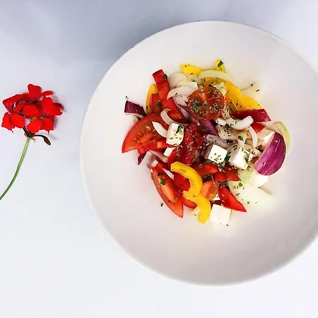 The Flame Tree Madeira (adults Only)