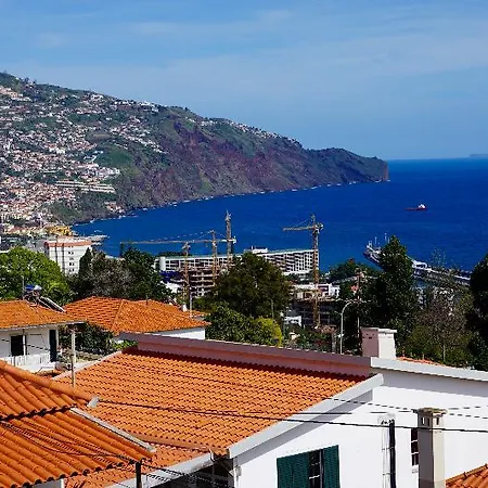Πανσιόν The Flame Tree Madeira (adults Only)