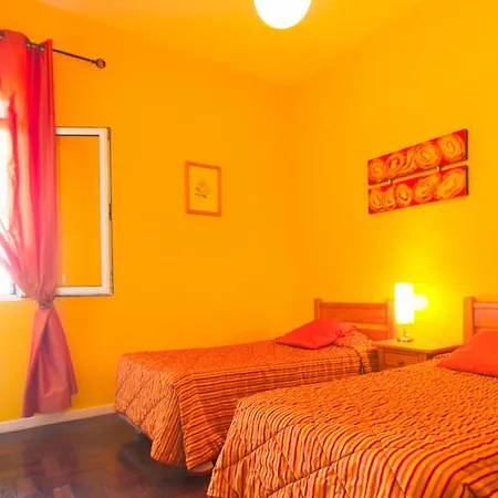 Πανσιόν The Flame Tree Madeira (adults Only) Φουνκάλ