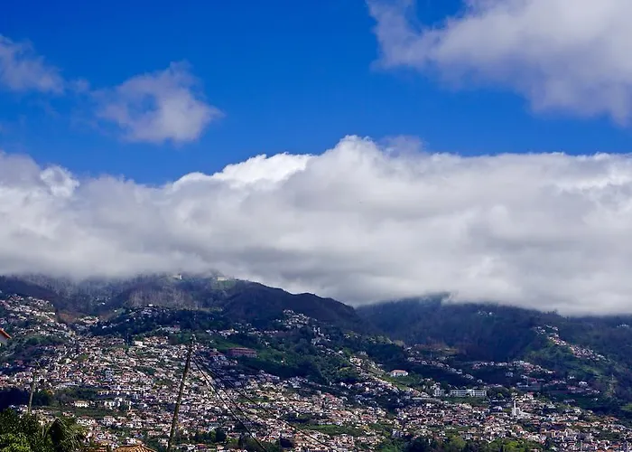 Affittacamere The Flame Tree Madeira (adults Only)