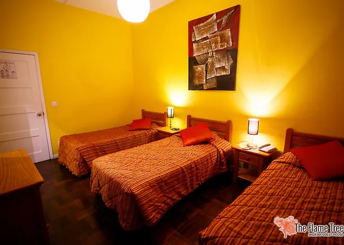 The Flame Tree Madeira (adults Only) 2*