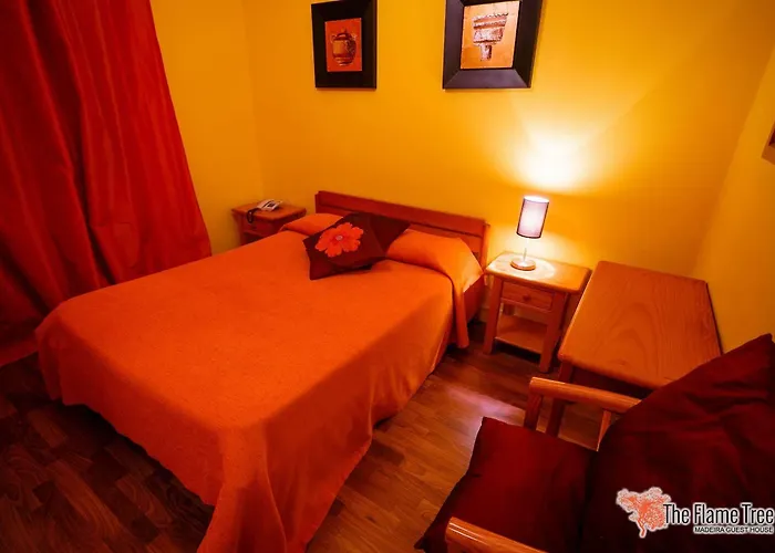 The Flame Tree Madeira (adults Only)